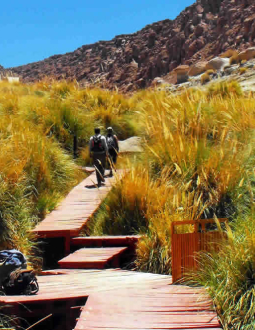 image-termas